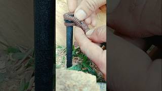 How to tie a rope to an iron pole to create the most effective force shorts knot [upl. by Pinebrook]