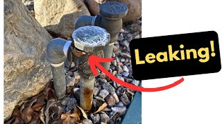 Irrigation AntiSiphon Valve Leaking  FIXED [upl. by Deane]