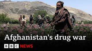 Inside the Talibans war on drugs  BBC News [upl. by Adnilab]