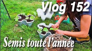 Des semis tous les 15 jours pendant 1 an Vlog 152 [upl. by Avilys971]