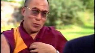 Dalai Lama kills a Mosquito [upl. by Yraek]