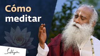 Medita con facilidad  Sadhguru [upl. by Luapnaej]