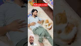 Malik ke pet me dard shortcomedy shorts cat comdiy [upl. by Uhej225]