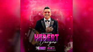 Voy a Amarte 15 EXITOS DE HEBERT VARGAS VallenatoMix [upl. by Dlaner]