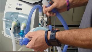 RT Clinic  Quick Hit Tutorial  Nitric Oxide Admin with Mechanical Ventilation [upl. by Anola37]