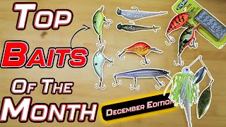 TOP BAIT of the MONTH December 2024 Edition [upl. by Juback794]