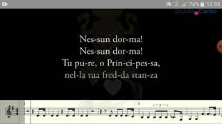 Nessun Dorma Scuola InCanto [upl. by Eskill912]