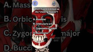 Medical Anatomy Quiz 2 shorts anatomy quiztime medical [upl. by Ankeny]