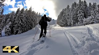 Windeckkopf 1209 m  Bergtour amp Winterimpressionen  Hinterzarten  Hochschwarzwald 2021 🇩🇪 [upl. by Sapphira349]