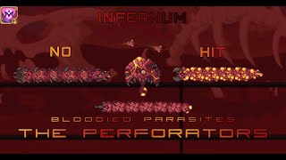 The Perforators NoHit  Terraria Calamity Infernum [upl. by Abshier768]