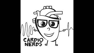 123 CardioObstetrics Pregnancy and Arrhythmia with Dr Andrea Russo [upl. by Naras]