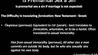 Sex  Is Premarital Sex a Sin  Apologetic Answers [upl. by Ennaer]