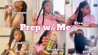 Prep w me for a protective style  wash day  moisturizing routine  blowout [upl. by Edahsalof]