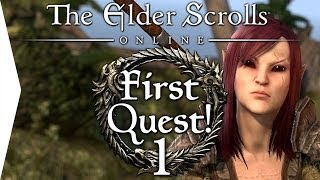 Elder Scrolls Online Beta Collab ► First Quest P1 ESO Gameplay [upl. by Thistle]