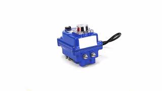 Product Review Quarterturn Electric Actuator Elephant 003 Blue 12 V [upl. by Enowtna]