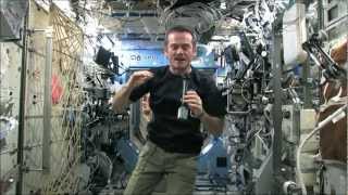 Chris Hadfield and some incredibly floating Canadian space food [upl. by Canter]