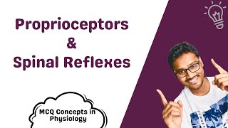 Proprioceptors amp Spinal Reflexes  MCQ concepts [upl. by Klinger498]