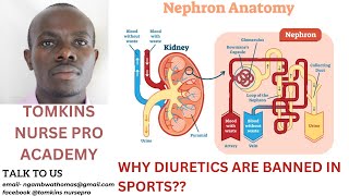 CARDIOVASCULAR DRUGS 5 GROUPS OF DIURETICSLOOPTHIAZIDE CAIs OSMOTICSOSMOTICS AND KSPARING [upl. by Nimzay]