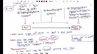 Antihypertensive Pharmacology  Calcium Channel blockers  lippincott katzung pharmacology [upl. by Lacram]