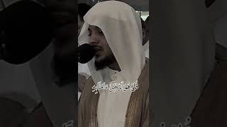 أجمل صوت في القرآن الكريم  هيثم الدخين haitham aldukhin [upl. by Eatnoj671]