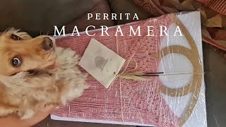 Una perrita haciendo macramÃ© [upl. by Ruff701]