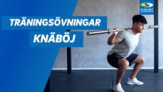 Hur gör man knäböj Squats [upl. by Wilhelm]