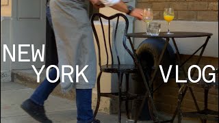 VLOG 뉴욕 일상 브이로그  West Village 브런치  Buvette  Washington Square Park 나들이  좋아하는 카페  트레이더조 아이템 추천 [upl. by Rothenberg]