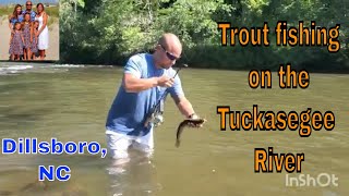 Trout fishing on the Tuckasegee River  Happy Anniversary  Dillsboro NC [upl. by Aiket]