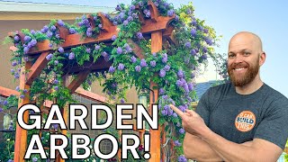 How to Build a Garden Arbor  StepByStep Guide [upl. by Ddat]