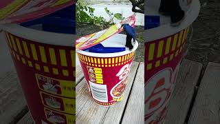 Can I swim in a giant instant noodle Brainopening stressrelieving interesting what is this [upl. by Kennedy]