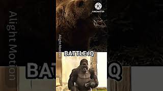 Grizzly bear Vs Silverback gorilla shorts viral wildlife [upl. by Ellitnahc450]