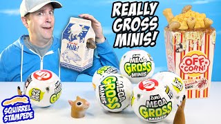 MEGA Gross Minis ZURU Collectable Disgusting What If Products Review [upl. by Ariana]