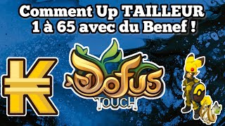 DOFUS TOUCH Comment Up TAILLEUR 65 sans perte de Kamas [upl. by Hurd]