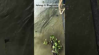 confluence of the Bhagirathi ampJalangi River changes the colour of the water [upl. by Braden]