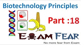 Biology Biotechnology Principles part 18 Amplification of gene of interest class 12 XII [upl. by Troxell]