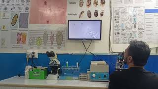 Microscopic examination of samples on Advanced Microscopy by Dr Muhammad UMER PhD Microbiology [upl. by Eikcor]