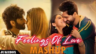 Feelings Of Love Mashup 2024  Non Stop Love Mashup  Arijit Singh Mashup  The Love Mashup 2024 [upl. by Uchish726]