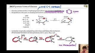 Cyclization of Carbohydrates and Anomers [upl. by Imelida523]