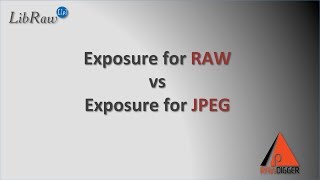 RawDigger Case Studies  Exposure for RAW vs Exposure for JPEG [upl. by Clyte780]