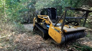 First Forestry Mulching Job for the new ASV rt135 skidsteer [upl. by Anirrok761]