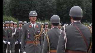 Official Parade in Vienna [upl. by Ayad885]