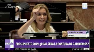 Presupuesto 2019 ¿Cuál será la postura de Cambiemos [upl. by Iaras456]