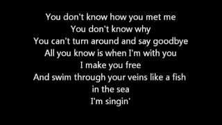 Follow Me Uncle Kracker Lyrics [upl. by Buckley]