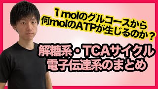 【エネルギー代謝系⑦まとめ】解糖系・TCAサイクル・電子伝達系を通してグルコース１モルから何モルのATPが生成するのかをまとめ的に解説！ [upl. by Harlie]