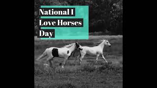 National I Love Horses Day [upl. by Komara]