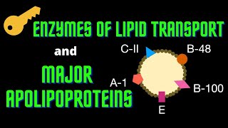 USMLE Step 1  Lesson 74  Key enzymes in Lipid Transport and Major Apolipoproteins [upl. by Adgam]