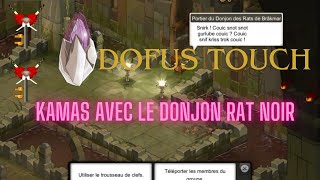 DOFUS TOUCH KAMAS AVEC LE DONJON RAT NOIR [upl. by Millda]