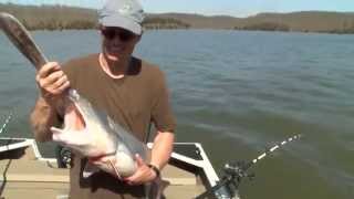 Paddlefish Snagging in Missouri MU CAFNR [upl. by Hgiel]