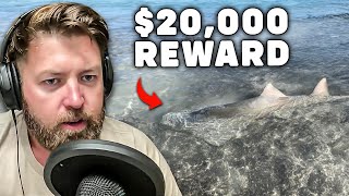 20000 Reward For A Fish Murder in Florida [upl. by Haliehs]