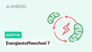 Energiestoffwechsel Teil 7  Atmungskette  AMBOSS Auditor [upl. by Yrelbmik]